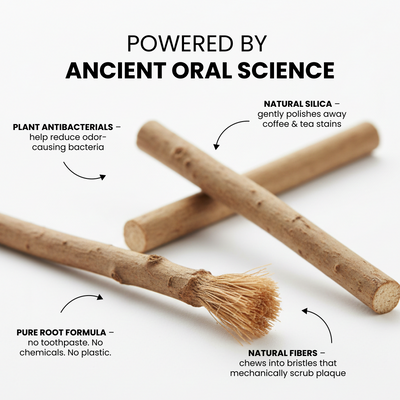 Miswak Stick