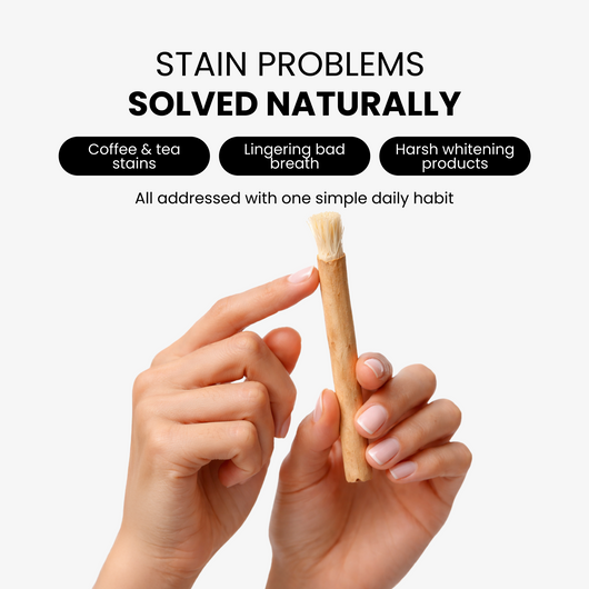 Miswak Stick